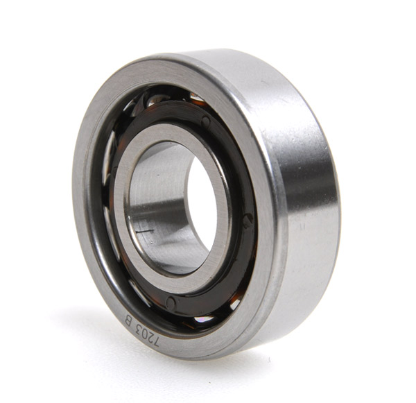 quality 6200 Series Bearing in china